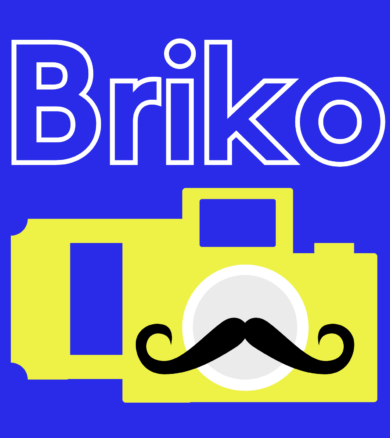 BRIKO the minifig